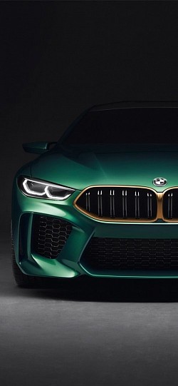 M3